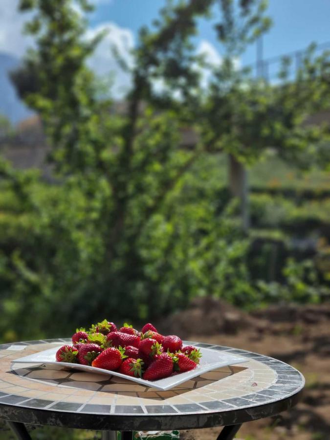 B&B Carmelina Граняно Екстериор снимка
